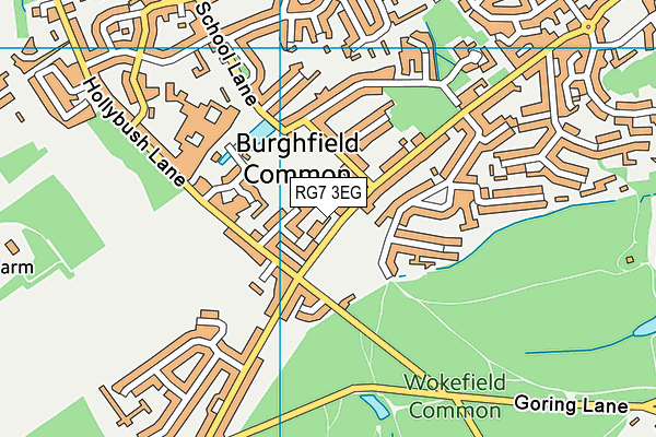 RG7 3EG map - OS VectorMap District (Ordnance Survey)