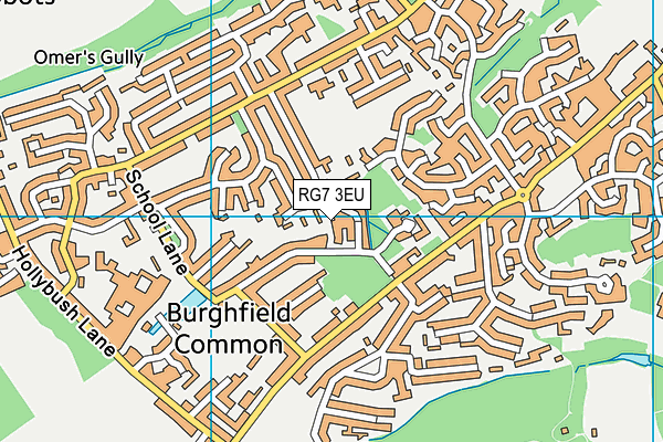 RG7 3EU map - OS VectorMap District (Ordnance Survey)