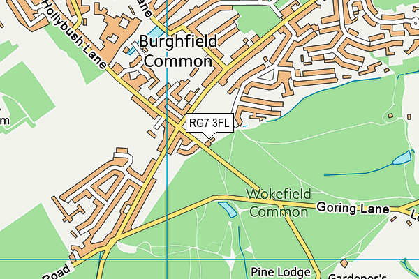 RG7 3FL map - OS VectorMap District (Ordnance Survey)