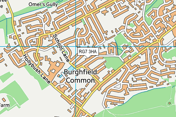 RG7 3HA map - OS VectorMap District (Ordnance Survey)