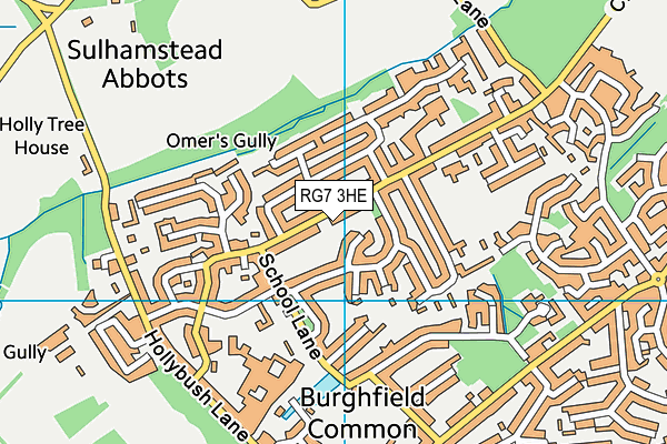 RG7 3HE map - OS VectorMap District (Ordnance Survey)