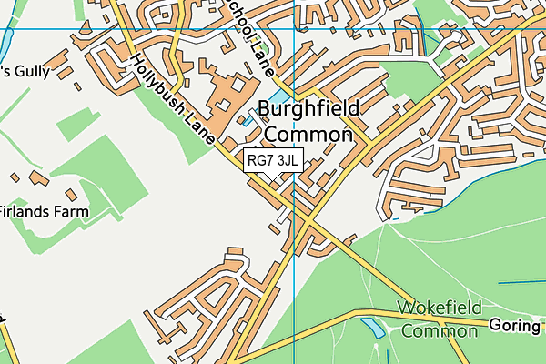 The Willink School Pitches map (RG7 3JL) - OS VectorMap District (Ordnance Survey)