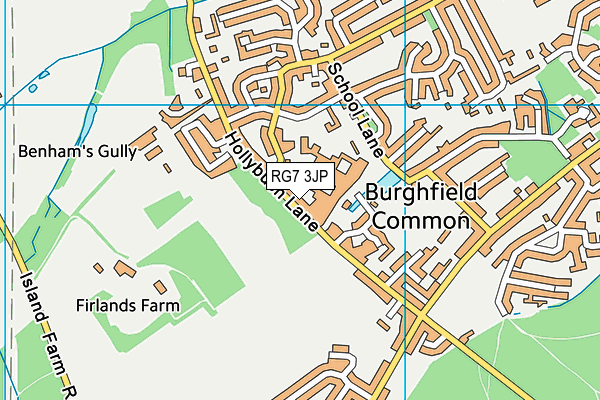 RG7 3JP map - OS VectorMap District (Ordnance Survey)