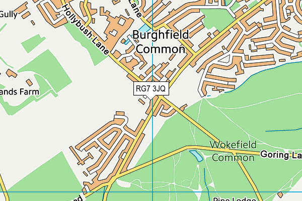 RG7 3JQ map - OS VectorMap District (Ordnance Survey)