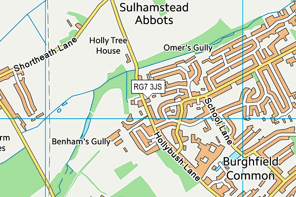 RG7 3JS map - OS VectorMap District (Ordnance Survey)