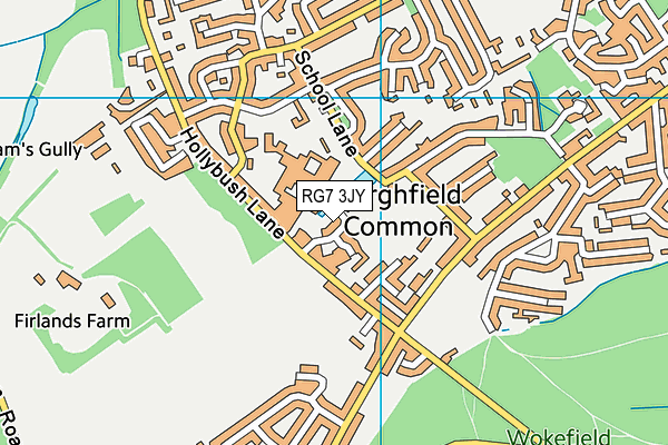 RG7 3JY map - OS VectorMap District (Ordnance Survey)
