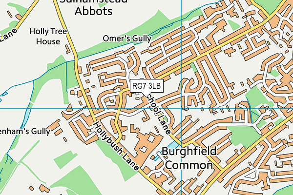 RG7 3LB map - OS VectorMap District (Ordnance Survey)