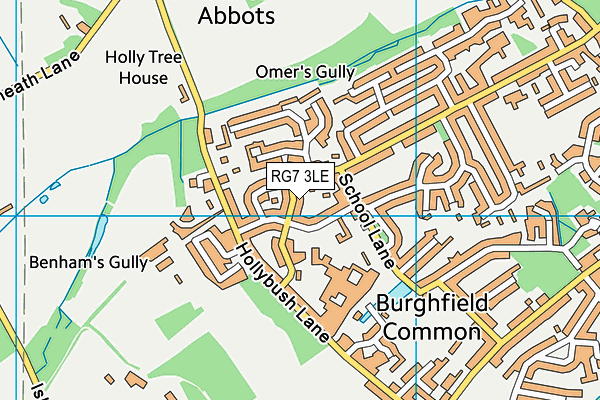 RG7 3LE map - OS VectorMap District (Ordnance Survey)