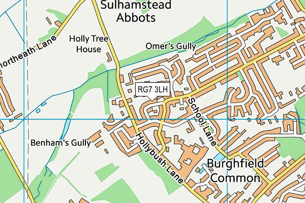 RG7 3LH map - OS VectorMap District (Ordnance Survey)