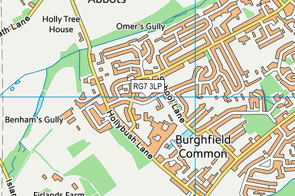 Mrs Bland's Infant School map (RG7 3LP) - OS VectorMap District (Ordnance Survey)