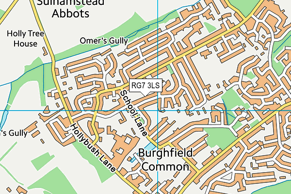 RG7 3LS map - OS VectorMap District (Ordnance Survey)