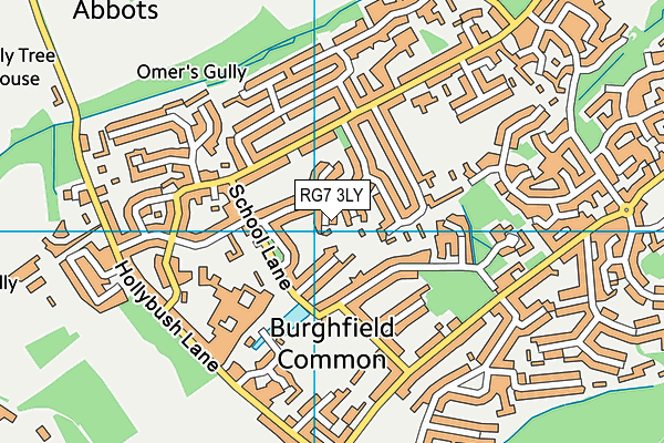 RG7 3LY map - OS VectorMap District (Ordnance Survey)