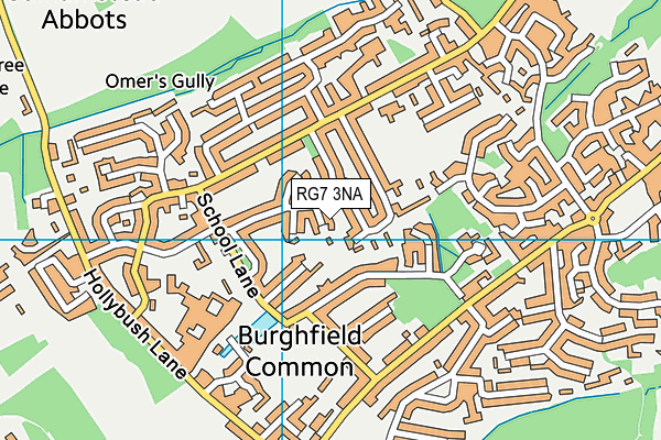 RG7 3NA map - OS VectorMap District (Ordnance Survey)