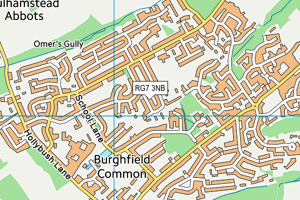 RG7 3NB map - OS VectorMap District (Ordnance Survey)