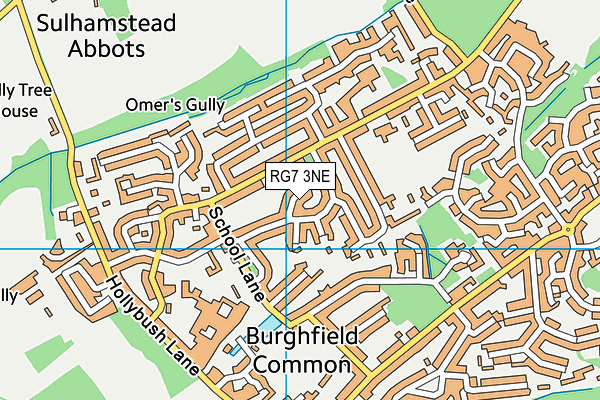 RG7 3NE map - OS VectorMap District (Ordnance Survey)