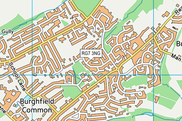 RG7 3NG map - OS VectorMap District (Ordnance Survey)