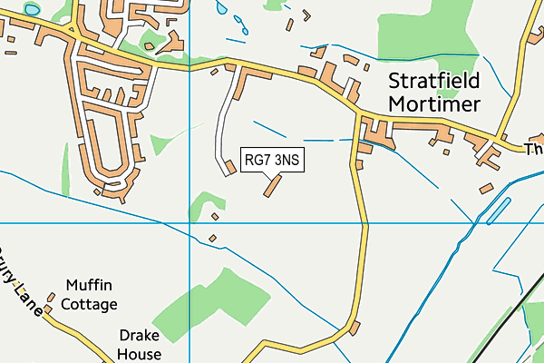 RG7 3NS map - OS VectorMap District (Ordnance Survey)