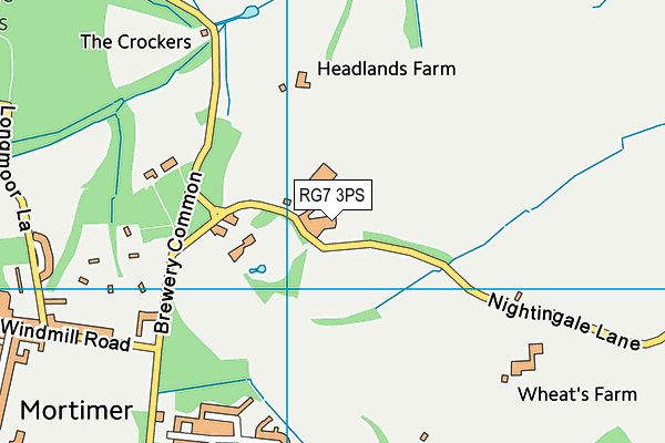 RG7 3PS map - OS VectorMap District (Ordnance Survey)