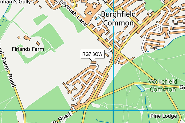 RG7 3QW map - OS VectorMap District (Ordnance Survey)