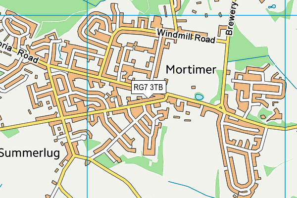 RG7 3TB map - OS VectorMap District (Ordnance Survey)