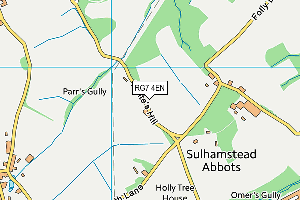 RG7 4EN map - OS VectorMap District (Ordnance Survey)