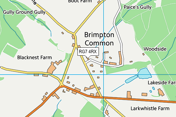 RG7 4RX map - OS VectorMap District (Ordnance Survey)