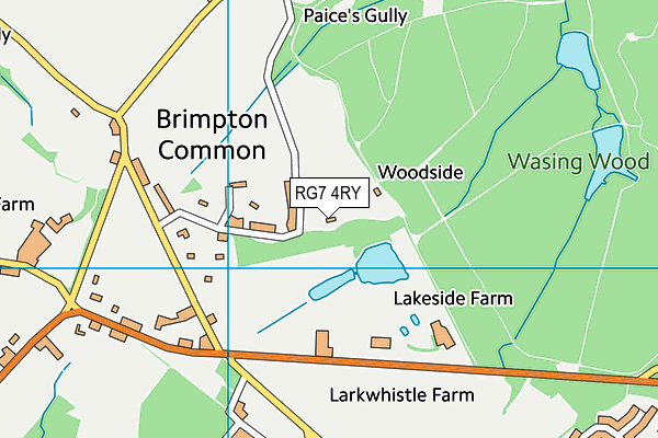 RG7 4RY map - OS VectorMap District (Ordnance Survey)