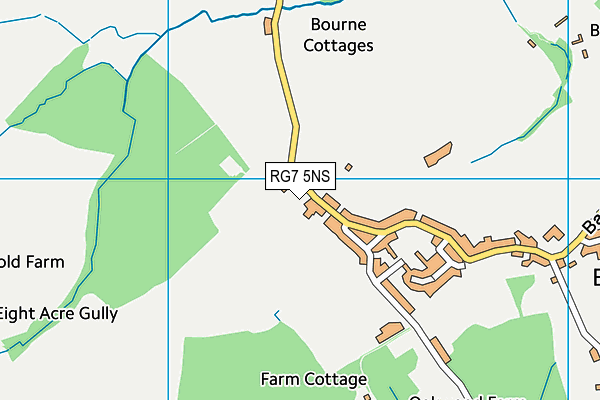 RG7 5NS map - OS VectorMap District (Ordnance Survey)