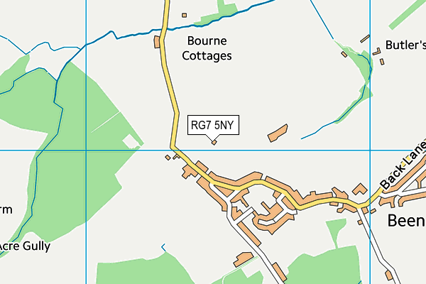 RG7 5NY map - OS VectorMap District (Ordnance Survey)
