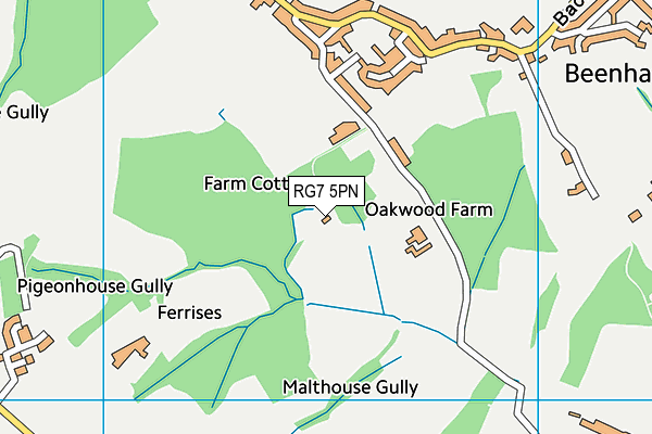 RG7 5PN map - OS VectorMap District (Ordnance Survey)