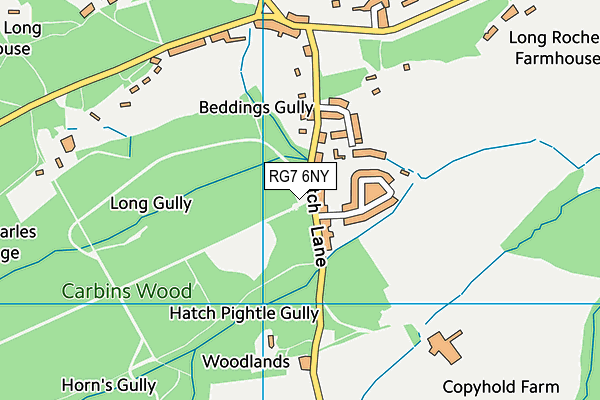 RG7 6NY map - OS VectorMap District (Ordnance Survey)