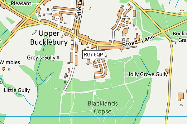 Bucklebury Church Of England School map (RG7 6QP) - OS VectorMap District (Ordnance Survey)