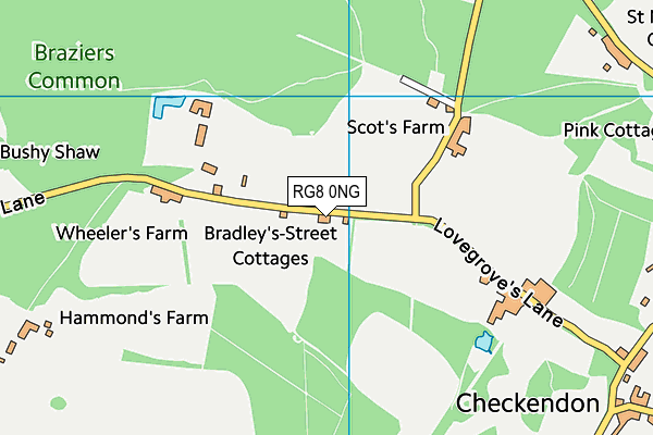 RG8 0NG map - OS VectorMap District (Ordnance Survey)