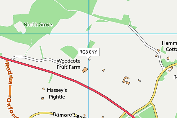 RG8 0NY map - OS VectorMap District (Ordnance Survey)