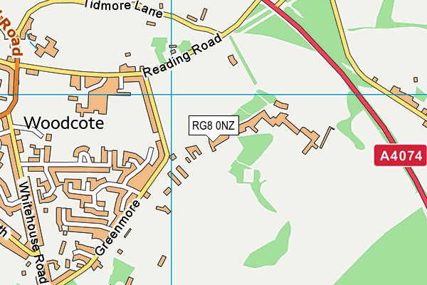 RG8 0NZ map - OS VectorMap District (Ordnance Survey)