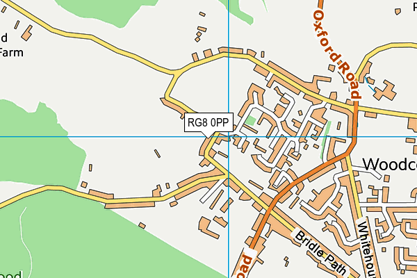 RG8 0PP map - OS VectorMap District (Ordnance Survey)