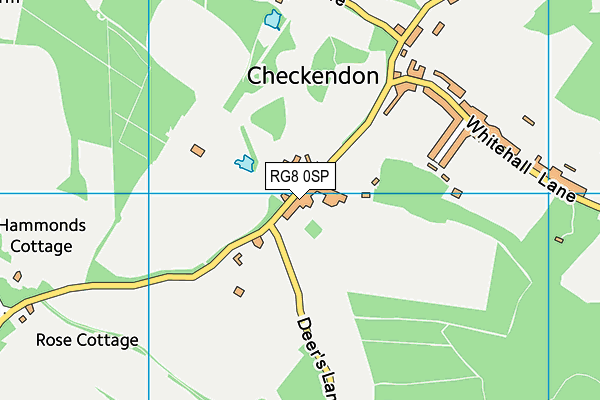 Checkendon Playing Field map (RG8 0SP) - OS VectorMap District (Ordnance Survey)