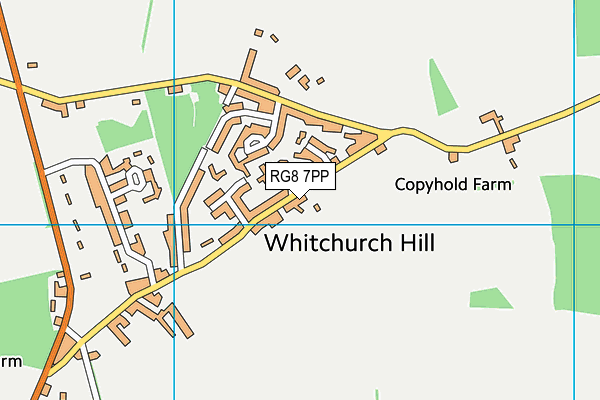 RG8 7PP map - OS VectorMap District (Ordnance Survey)