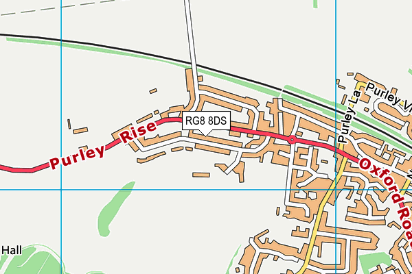 RG8 8DS map - OS VectorMap District (Ordnance Survey)