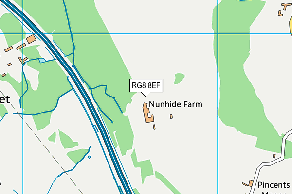 RG8 8EF map - OS VectorMap District (Ordnance Survey)