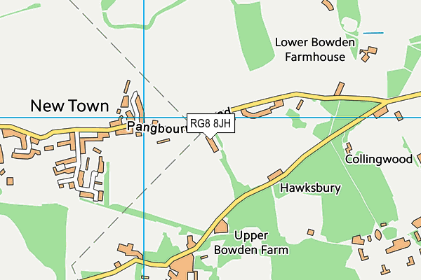 RG8 8JH map - OS VectorMap District (Ordnance Survey)