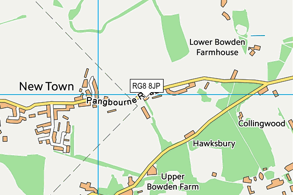 RG8 8JP map - OS VectorMap District (Ordnance Survey)