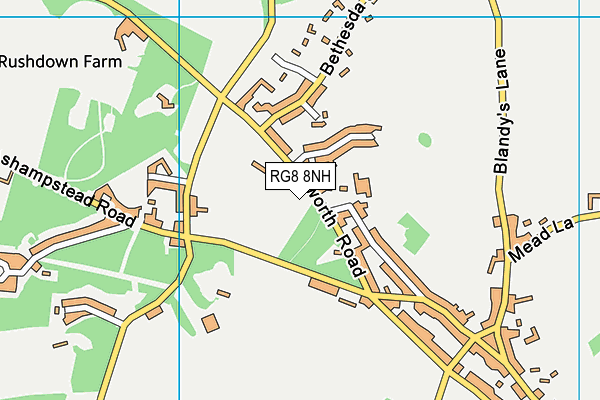 RG8 8NH map - OS VectorMap District (Ordnance Survey)