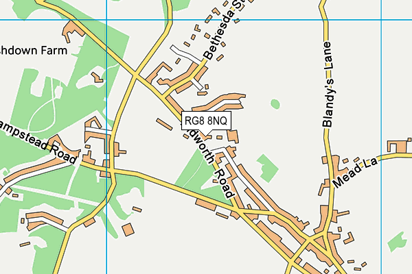 RG8 8NQ map - OS VectorMap District (Ordnance Survey)