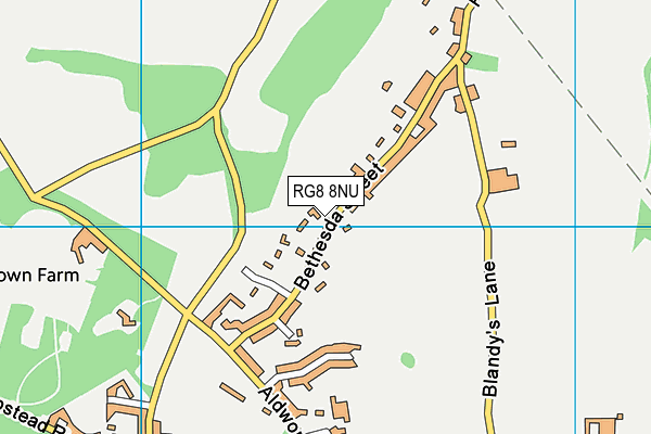RG8 8NU map - OS VectorMap District (Ordnance Survey)
