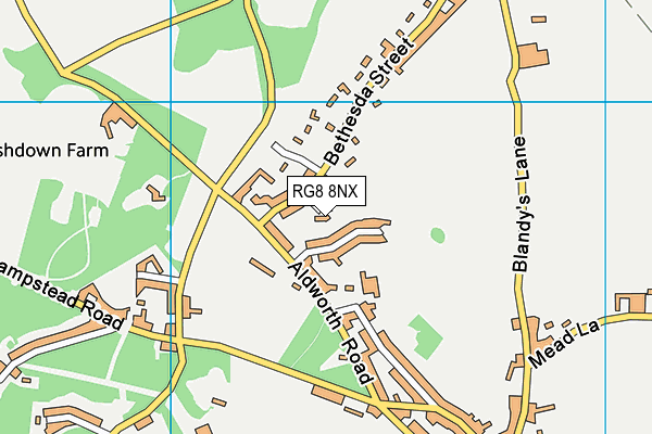 RG8 8NX map - OS VectorMap District (Ordnance Survey)