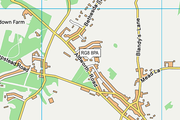 RG8 8PA map - OS VectorMap District (Ordnance Survey)