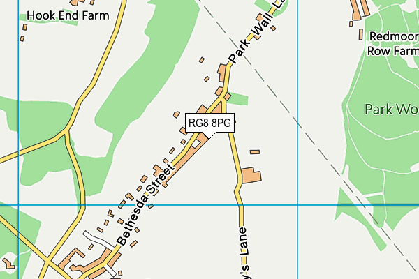 RG8 8PG map - OS VectorMap District (Ordnance Survey)