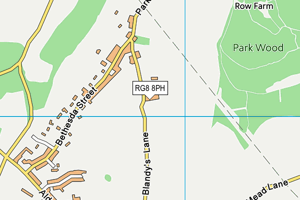 RG8 8PH map - OS VectorMap District (Ordnance Survey)