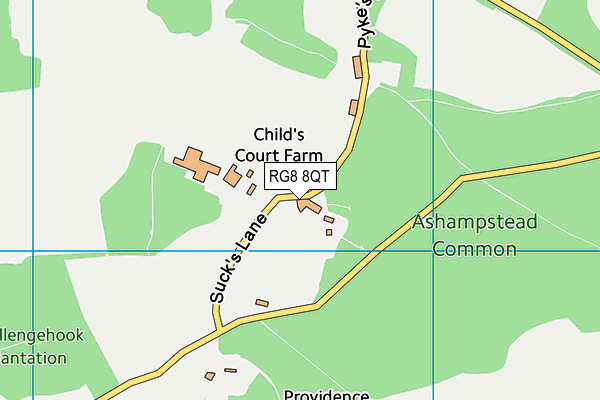 RG8 8QT map - OS VectorMap District (Ordnance Survey)